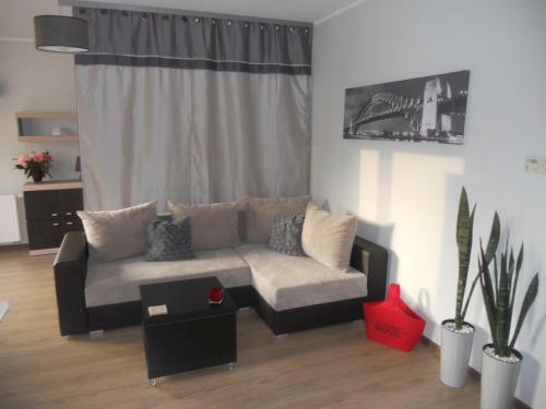 Apartament-studio