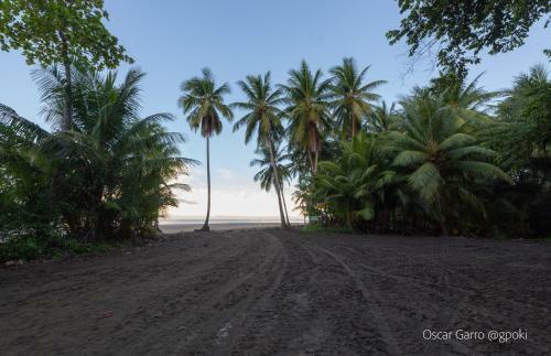 Apartamento Pura Uvita