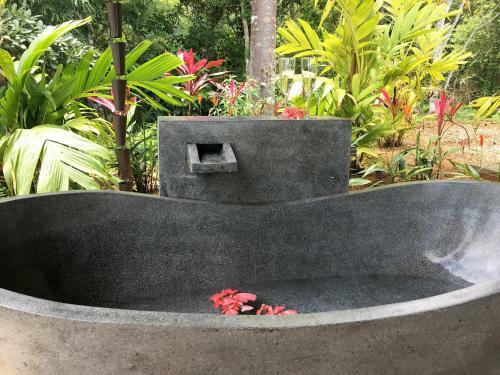 Hotel Golden Pineapple Villas-adults Only
