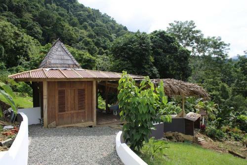 Hotel Uvita Bali Bosque Retreat