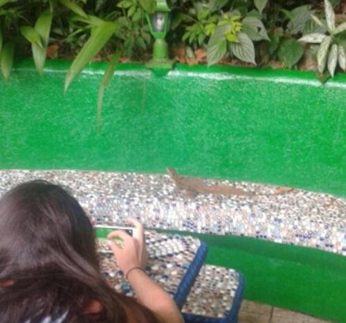 Hotel Manuel Antonio Park House