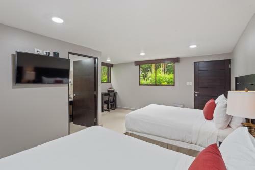 Hotel Buena Vista Beach Villas