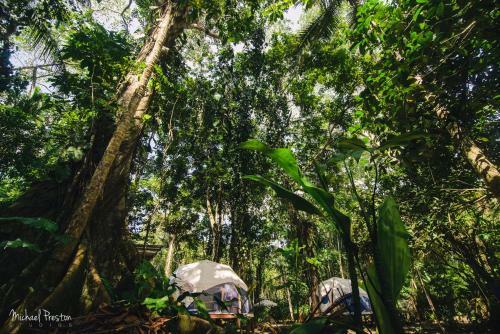 Bed & Breakfast Faith Glamping Dome Costa Rica