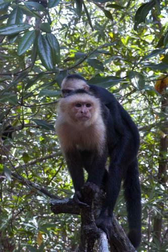 Bed & Breakfast Il Giardino Beach Rooms