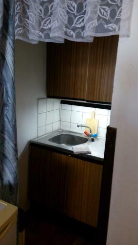 Hostal Ubytovani U Kratkych