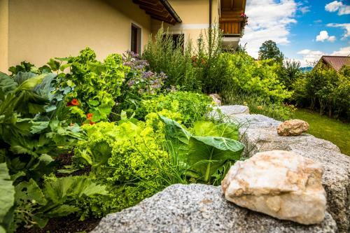 Apartamento Appartments Jandlbauer