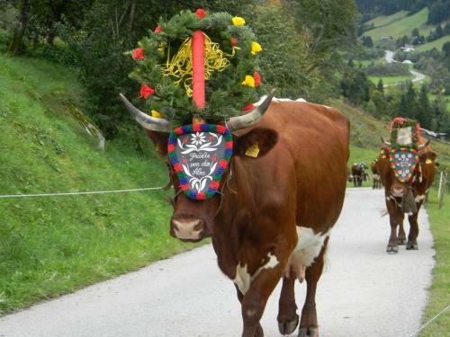 Agroturismo Griesbauer / Familie Gehwolf