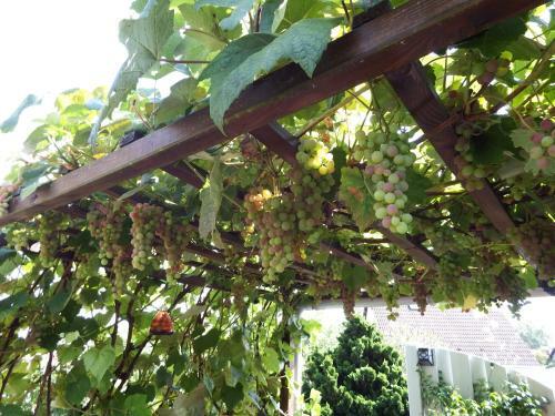 Apartamento Ferienwohnung Georg