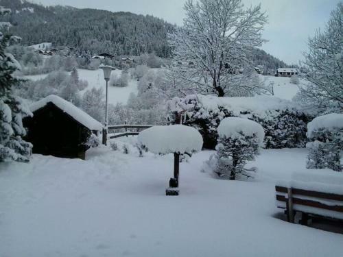 Hostal Appartement Pension Grasser