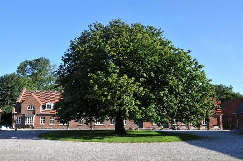 Bellingegaard Bed And Breakfast