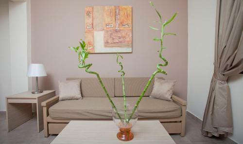 Aphrodite Luxury Studios & Apartments