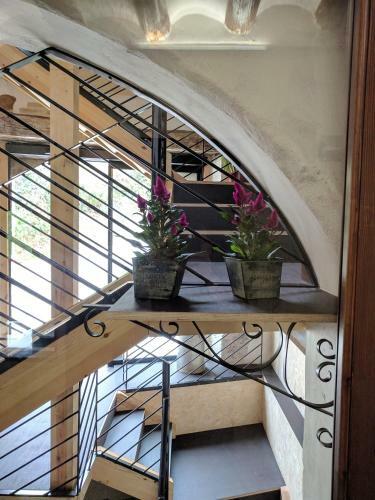 Albergue Hoster�a De Curtidores