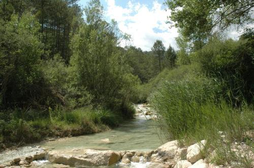 Agroturismo Preciosa Casa Rural (4707)