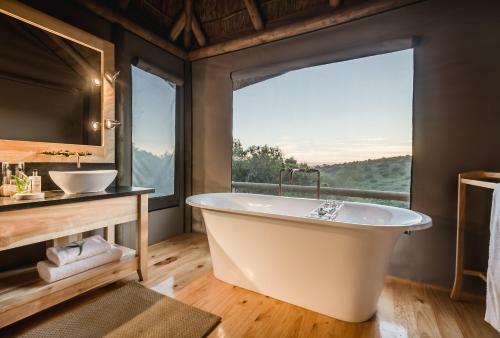 Bukela Game Lodge - Amakhala Game Reserve