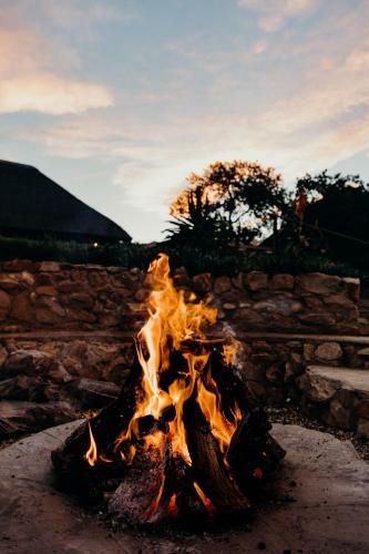 Bukela Game Lodge - Amakhala Game Reserve
