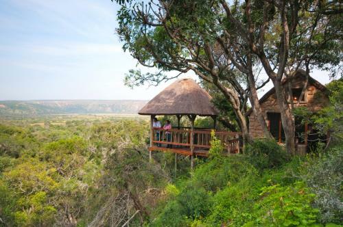 Woodbury Lodge ? Amakhala Game Reserve