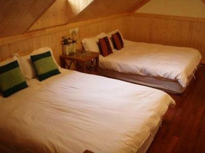 Hotel Fennel Resort