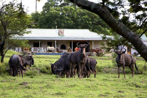Albergue Santa Paloma Guest Farm