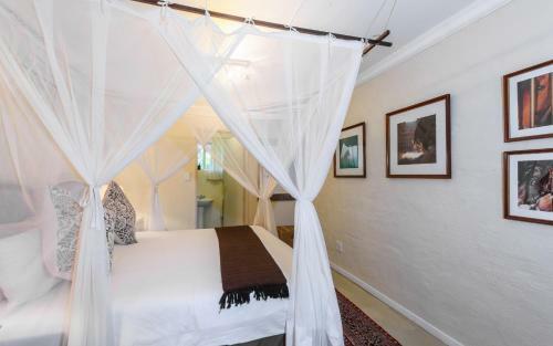 Lodge Khaya Ndlovu Manor House