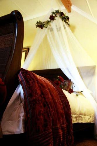 Hostal Fox's Hill Guesthouse