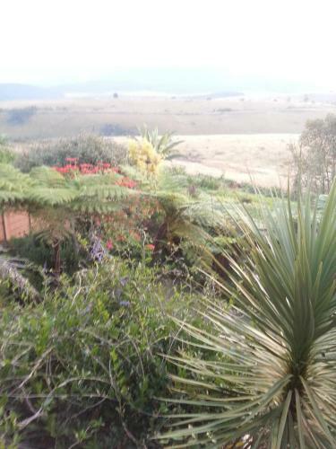 Hostal Linga Longa Country Guesthouse