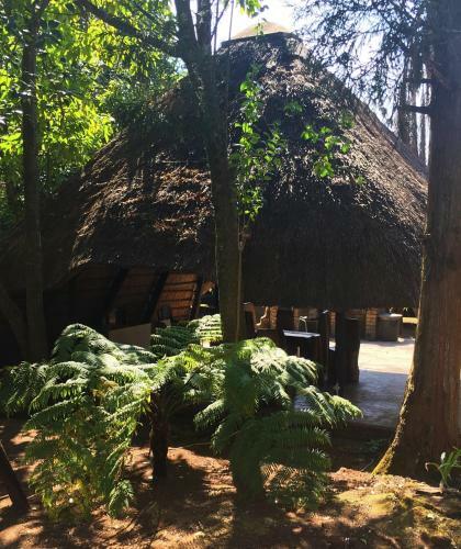 Summit Lodge
