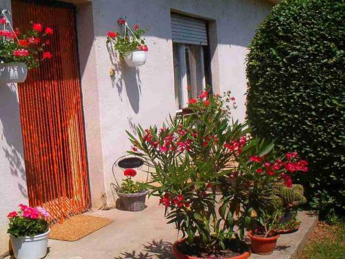 Apartamento S�v�nyes Sz�ll�shely