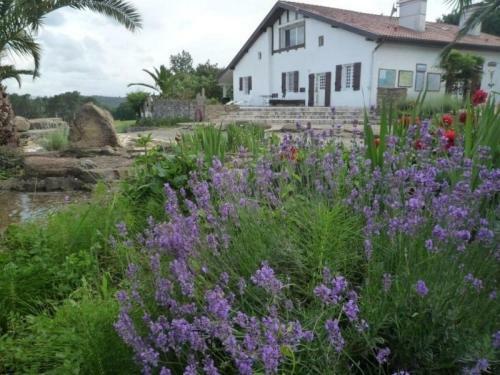 House Adour