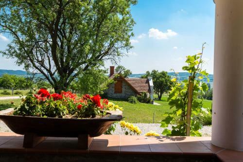 �reghegyi Apartman