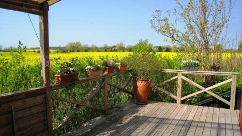 �lholm Cottage