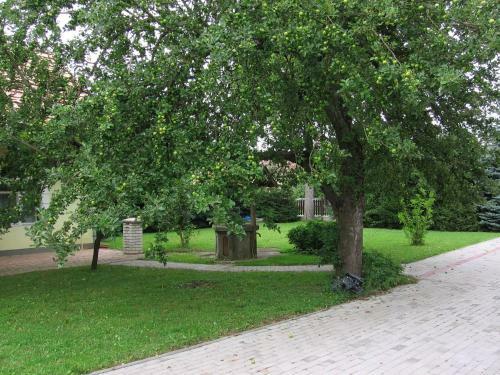 Bed & Breakfast Bundics Vend�gh�zak