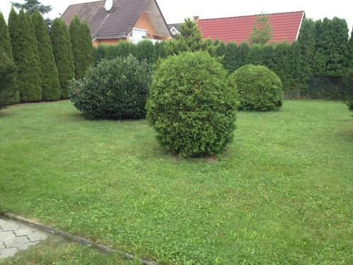 Pacsirta Apartman
