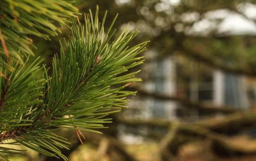 Nystrup Klitm�ller Camping & Cottages