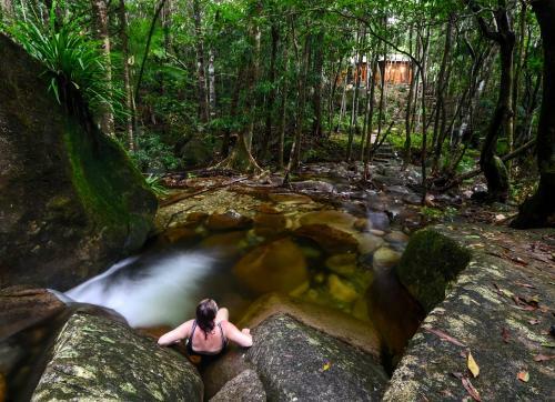 Daintree Cascades
