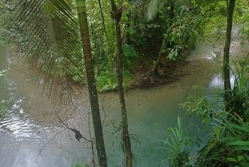 Heritage Lodge & Spa 'in The Daintree'