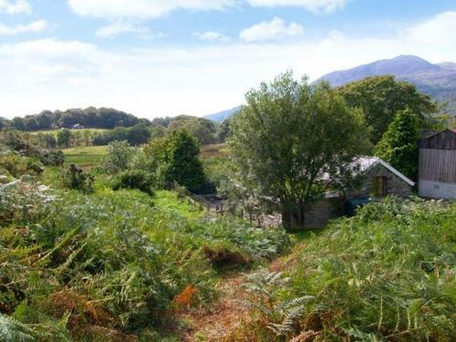 Bwythyn Y Wennol