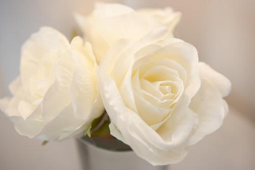 2 Bedroom Apartment In Prime Clifton Location