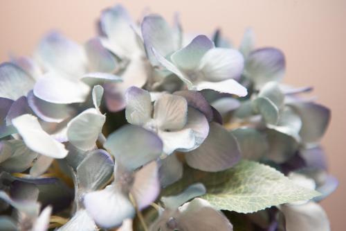 2 Bedroom Apartment In Prime Clifton Location