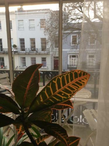 Hostal Cheltenham Lawn And Pittvile Gallery