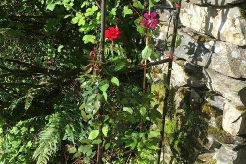 Apartamento Mill Dam Cottage