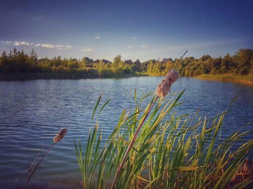 Plumptons Farm Holiday Lodges
