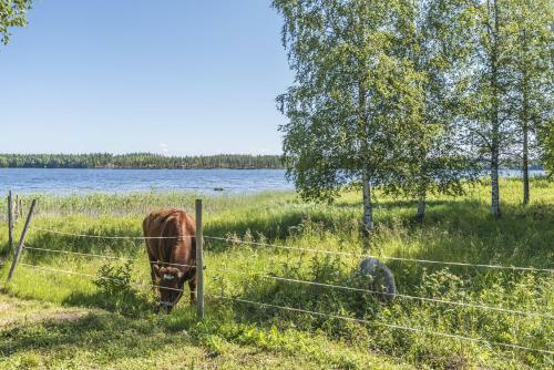Lodge Hyv�l�n Talo