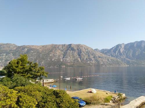 Apartments Dani