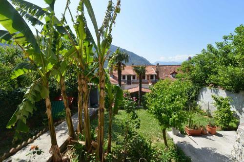 Apartments Popovic 2