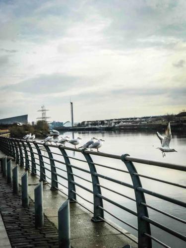 Apartamento Newly Furnished Flat In Great Riverside Location