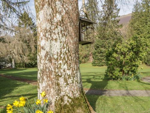 Somervell, Keswick