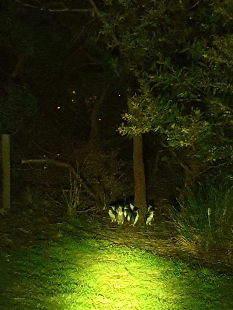 Hotel Diamond Island Resort