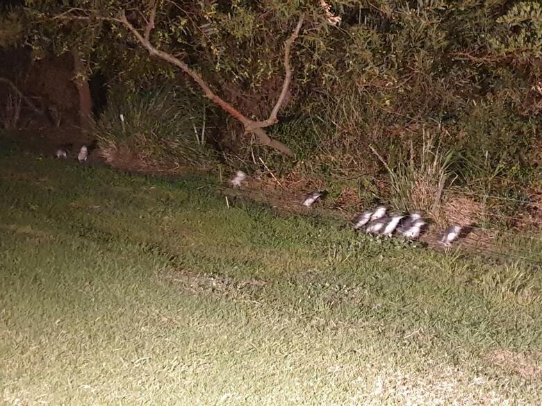 Hotel Diamond Island Resort