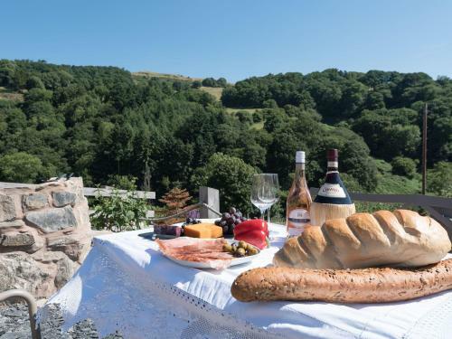 The Owl House, Llanfyllin
