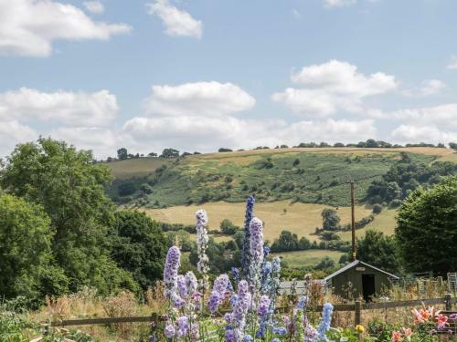 The Owl House, Llanfyllin